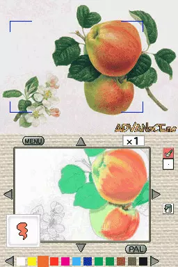Image n° 3 - screenshots : Kokoro wo Yasumeru Otona no Nurie DS